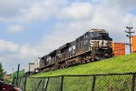 NS 8174 on 24X